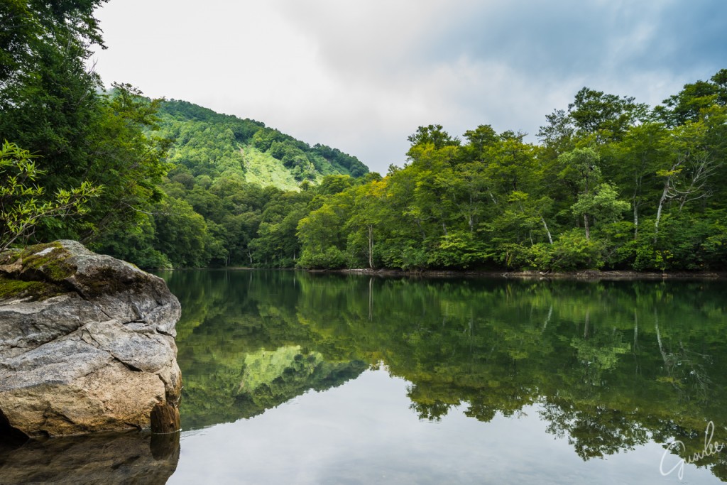 長野県の小谷村にある鎌池を新緑のシーズンに撮影。