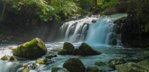 蓼科大滝は苔と岩が作り出す幻想的な滝で穴場的な存在の絶景