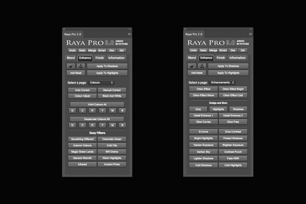 Raya Pro 2.0 エンハンス